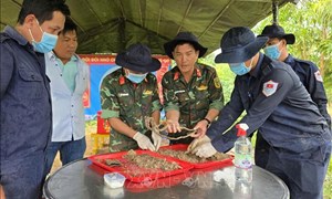 An Giang: Nỗ lực hoàn thành lấy mẫu sinh phẩm hài cốt liệt sĩ chưa xác định được thông tin trước ngày 30/4/2027 ​