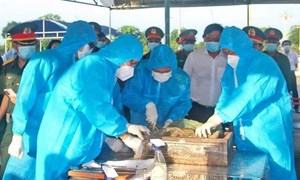 Cà Mau: Lần theo dấu vết ký ức, quyết tâm trả lại tên cho các liệt sỹ
