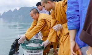 Giáo hội Phật giáo Việt Nam đề nghị không thu gom động vật để phóng sinh mùa Vu Lan