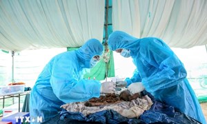 Tây Ninh: Trọn nghĩa tri ân trên hành trình tìm kiếm, xác định danh tính liệt sỹ