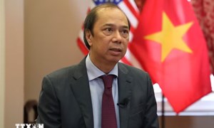 Đại sứ quán Việt Nam tại Mỹ nỗ lực thúc đẩy xác định danh tính hài cốt liệt sỹ