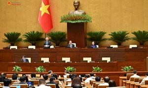 Quốc hội nghe báo cáo định hướng chính sách sửa đổi Luật Đất đai