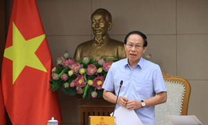 Tổng rà soát VBQPPL: Lấy chất lượng phương án xử lý và khả năng triển khai làm thước đo kết quả