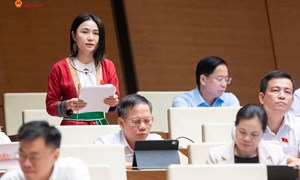 Hỗ trợ đất, nhà ở phải đi cùng sinh kế bền vững