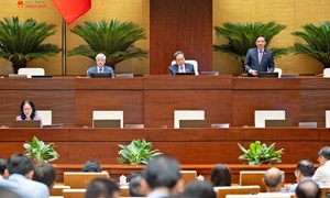 Bảo đảm phân hóa trách nhiệm hình sự, phản ánh đúng mức độ nguy hiểm của từng nhóm hành vi