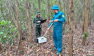 Hỗ trợ tìm kiếm hài cốt liệt sĩ bằng công nghệ radar xuyên đất tại Gia Lai