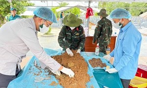 Gia Lai tận dụng mọi phương thức quy tập, xác định danh tính hài cốt liệt sỹ