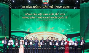 Chính thức công nhận danh hiệu “Nông dân Việt Nam xuất sắc 40 năm Đổi mới” năm 2026 cho 96 nông dân