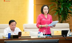 Không luật hóa các thủ tục hành chính, giấy phép, điều kiện kinh doanh không cần thiết