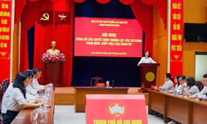Đảng ủy Mặt trận Tổ quốc, các đoàn thể Thành phố Hồ Chí Minh tổ chức Hội nghị thông tin việc thành lập các cơ quan tham mưu, giúp việc của Đảng ủy