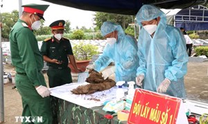 Vĩnh Long thực hiện lưu trữ, số hóa hồ sơ lấy mẫu xác định danh tính hài cốt liệt sỹ