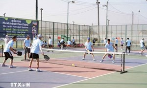 Tổ chức giải Pickleball thanh niên Việt Nam toàn quốc năm 2026