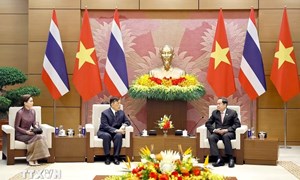 Chủ tịch Quốc hội Trần Thanh Mẫn hội kiến Nhà vua Thái Lan