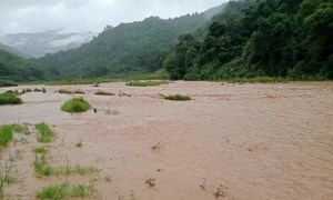Mưa lũ gây nhiều thiệt hại tại các địa phương