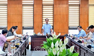 Cà Mau: Chủ tịch Ủy ban MTTQ Việt Nam tỉnh làm việc với các đơn vị thuộc lĩnh vực thương mại - dịch vụ và du lịch 