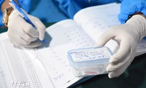 Quân khu 4 và tỉnh Nghệ An hoàn thành hơn 94% chỉ tiêu lấy mẫu hài cốt liệt sỹ