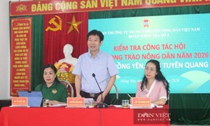 Trung ương Hội Nông dân Việt Nam kiểm tra công tác Hội tại Tuyên Quang