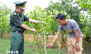Hà Tĩnh: Đồng bào Chứt ở Rào Tre ổn định đời sống, hướng tới phát triển bền vững