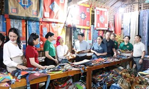 Trung ương Hội Nông dân Việt Nam đến thăm, tìm hiểu hoạt động sản xuất tại Hợp tác xã Dệt lanh Lùng Tám