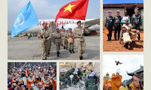 Việt Nam-Liên hợp quốc: Hành trình từ hội nhập đến chủ động đóng góp