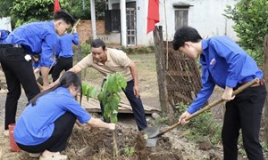 Tuổi trẻ cả nước đồng loạt ra quân tình nguyện chung tay xây dựng nông thôn mới