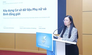 Trung ương Hội LHPN Việt Nam góp ý dự thảo Khung kiến trúc Cơ sở Dữ liệu về Phụ nữ và Bình đẳng giới