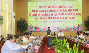 Trung ương Hội LHPN Việt Nam giám sát về việc thực hiện Luật Bình đẳng giới tại thành phố Cần Thơ