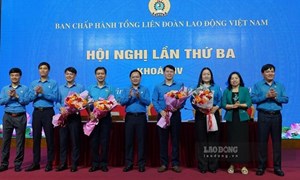 Tổng LĐLĐ Việt Nam bầu bổ sung các ủy viên Ban Chấp hành và Ban Thường vụ khóa XIV