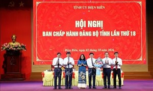 Điện Biên kiện toàn hai Đảng bộ mới