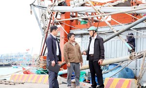 Quảng Trị: Những lá phiếu trở về từ khơi xa