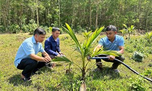 Gia Lai tạo sinh kế cho đồng bào vùng dân tộc thiểu số