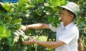 Quảng Ngãi: Thay đổi nếp nghĩ, cách làm trong đồng bào dân tộc thiểu số