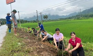 MTTQ Việt Nam tỉnh Tuyên Quang: Đẩy mạnh tuyên truyền hướng về cơ sở