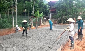 Phú Thọ: Lan tỏa mạnh mẽ cuộc vận động “Toàn dân đoàn kết xây dựng nông thôn mới, đô thị văn minh”