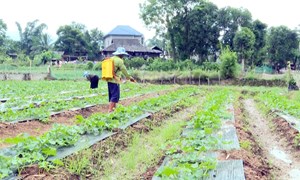 Phát huy vai trò của người uy tín trong phát triển KT-XH vùng đồng bào DTTS ở tỉnh Lai Châu