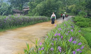 Thanh Hóa: Phát huy vai trò của MTTQ trong xây dựng nông thôn mới