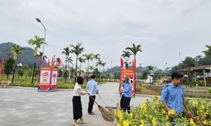 Hành động vì môi trường