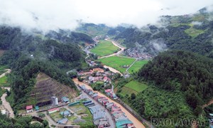 Mù Cang Chải: Phát triển du lịch cộng đồng để mở rộng sinh kế thoát nghèo