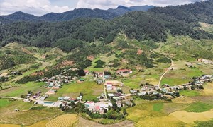 Quảng Ngãi: Tập trung chăm lo đời sống đồng bào DTTS