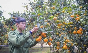 Thanh Hóa: Phát triển bền vững vùng đồng bào dân tộc thiểu số và miền núi