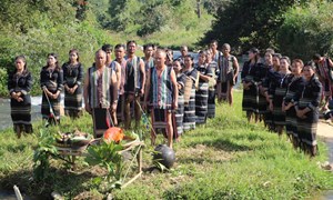 Đồng bào dân tộc thiểu số Lâm Đồng và hành trình đổi thay