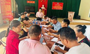 "Hạt nhân" đoàn kết trong xây dựng nông thôn mới ở thôn Làng Nhội