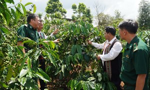 Đồng bào các dân tộc thiểu số Lâm Đồng luôn vững tin vào Đảng