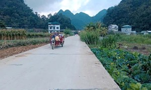 Cao Bằng: Xuân về trên những con đường nông thôn mới