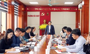 Quảng Ninh: Kiểm tra công tác bầu cử tại phường Bãi Cháy