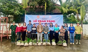 Trao tặng 5.000 cây quế giống cho hộ nghèo ở xã Vị Xuyên