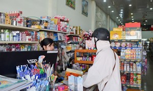 Lâm Đồng: Phát triển kinh tế nông thôn cần tầm nhìn rộng hơn