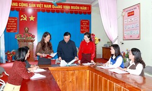 Tuyên Quang: Giám sát mở rộng, kiểm tra có trọng tâm