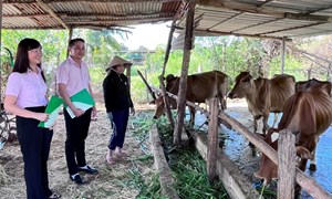 Lâm Đồng: Phát triển kinh tế vùng đồng bào dân tộc thiểu số từ cách trao “cần câu”