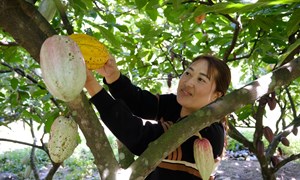 Khi đồng bào chung sức xây dựng nông thôn mới